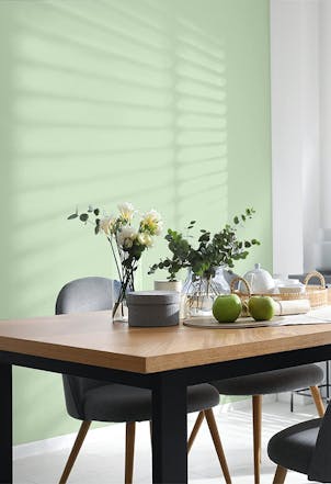 Wall painted with Johnstone's Natural Sage