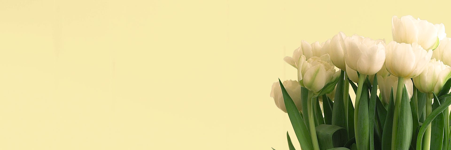 pastel yellow wall with flowers