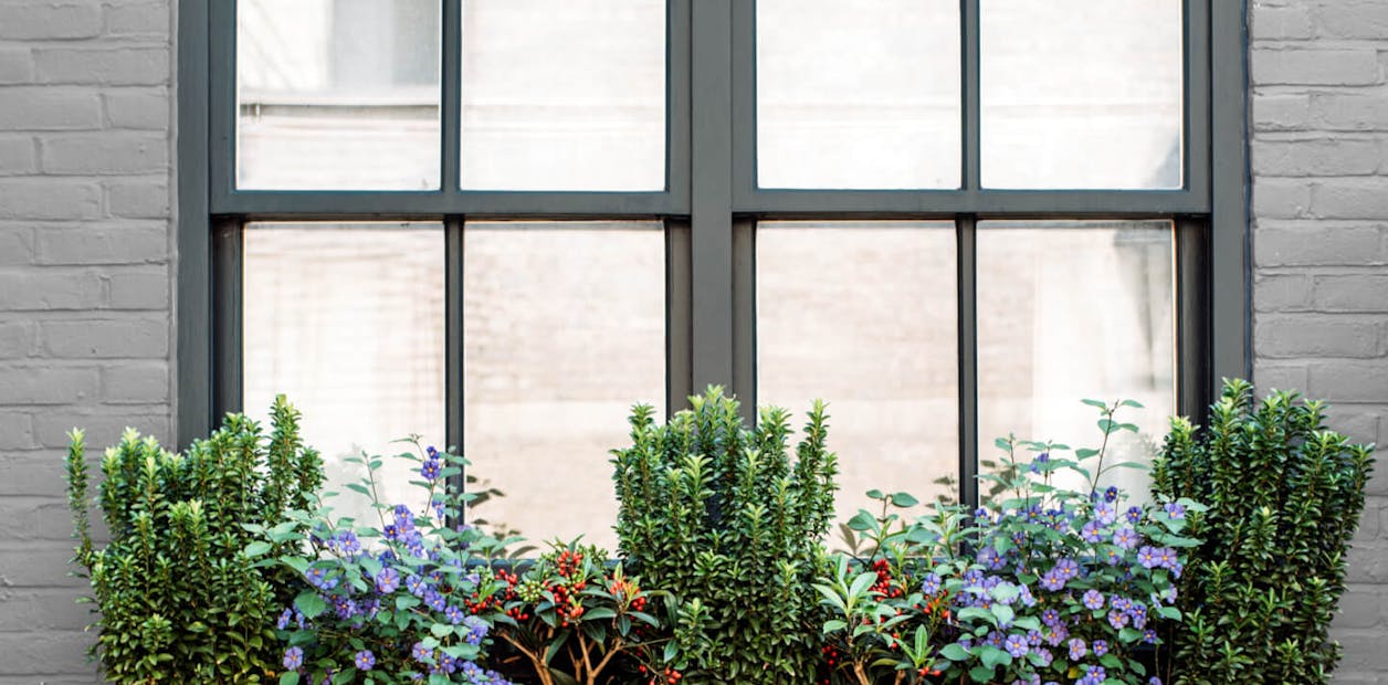 dark grey window frame
