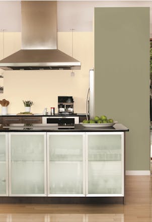 kitchen with a wall painted with Hemlock